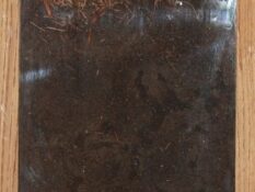 Гірсько-лучний буроземний середньосуглинковий ґрунт на елювії-делювії Карпатського флішу
